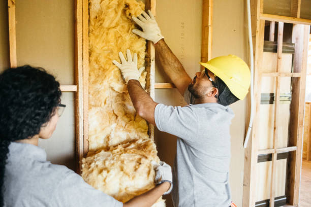 Best Blown-In Insulation  in Lahaina, HI